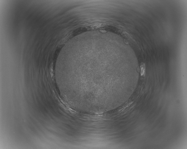 X0000067941011200604131443
