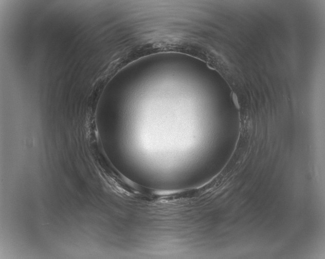 X0000067941012200604131443