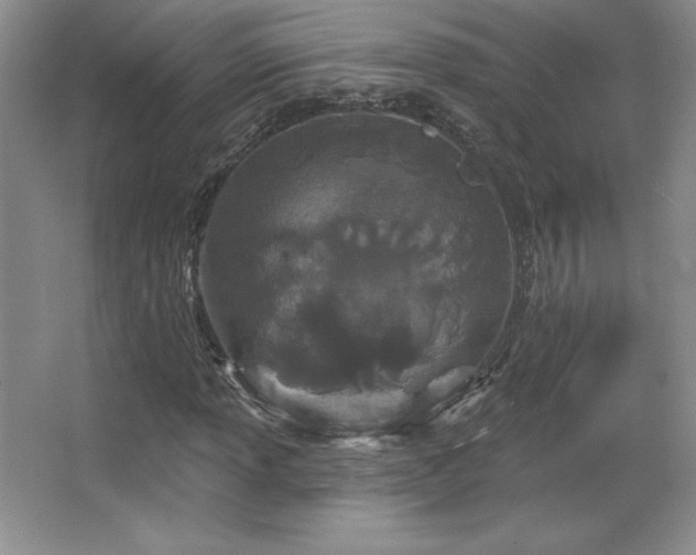 X0000067941013200604131443