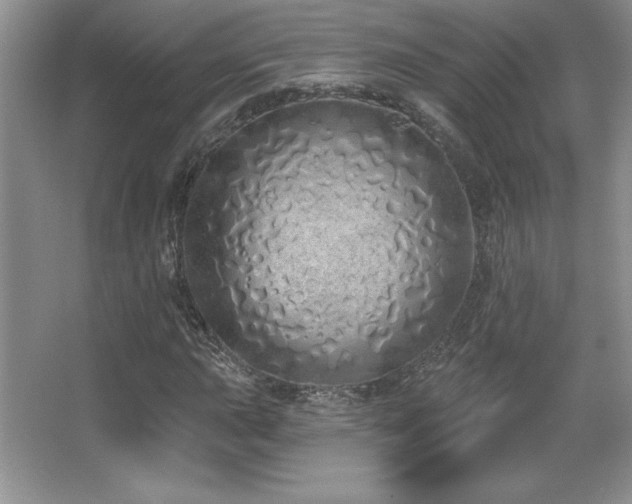X0000067941015200604131443
