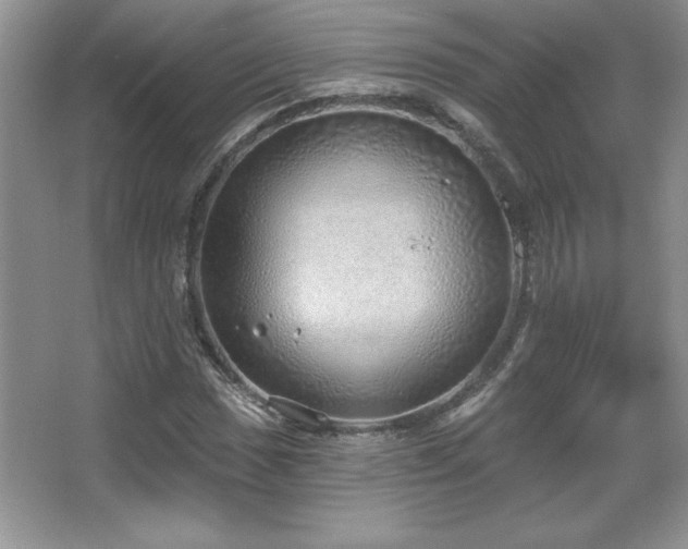 X0000067941017200604131443