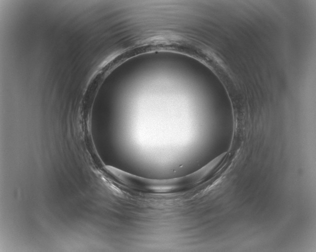 X0000067941018200604131443