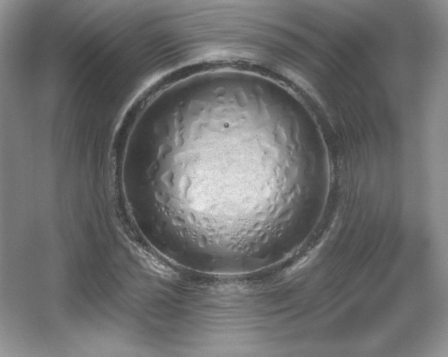 X0000067941021200604131443