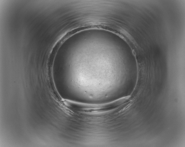 X0000067941023200604131443