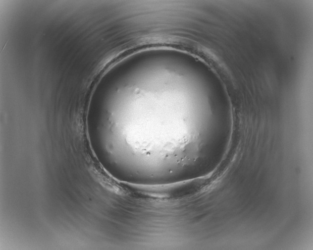 X0000067941025200604131443