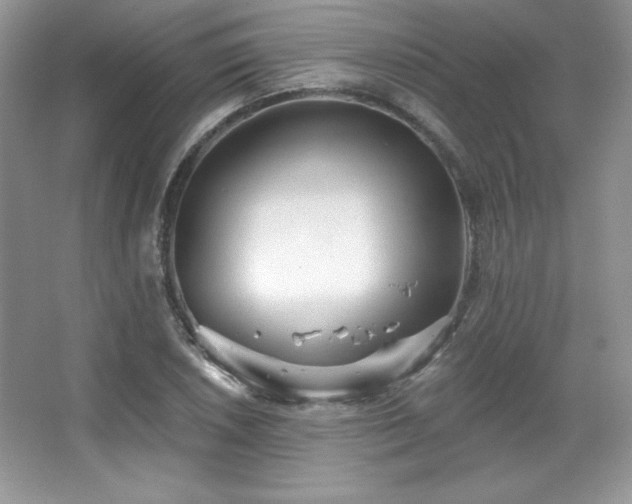 X0000067941026200604131443