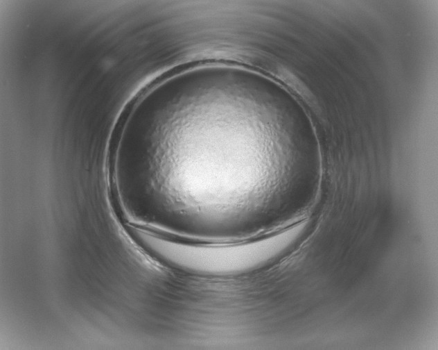 X0000067941028200604131443