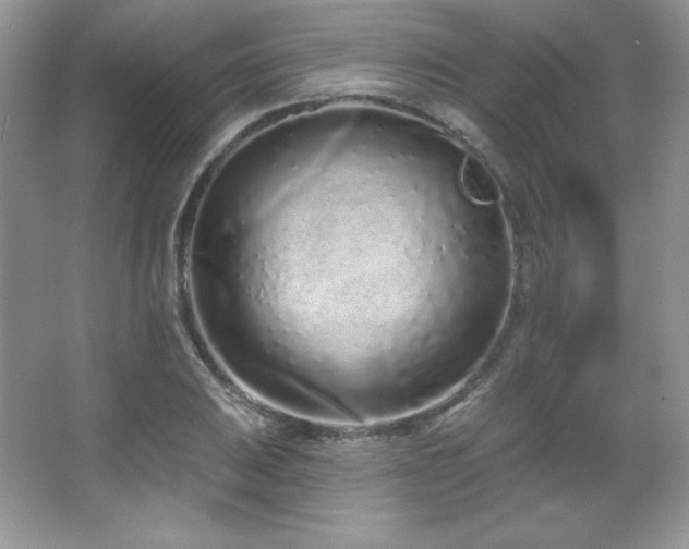 X0000067941031200604131443