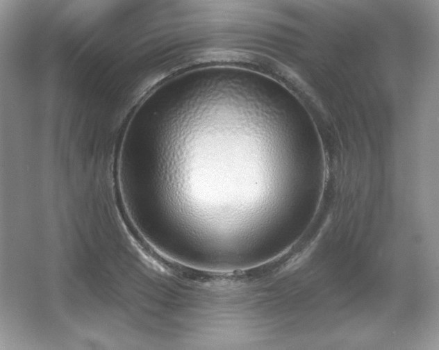 X0000067941033200604131443