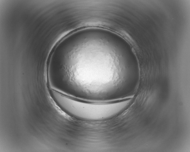 X0000067941036200604131443