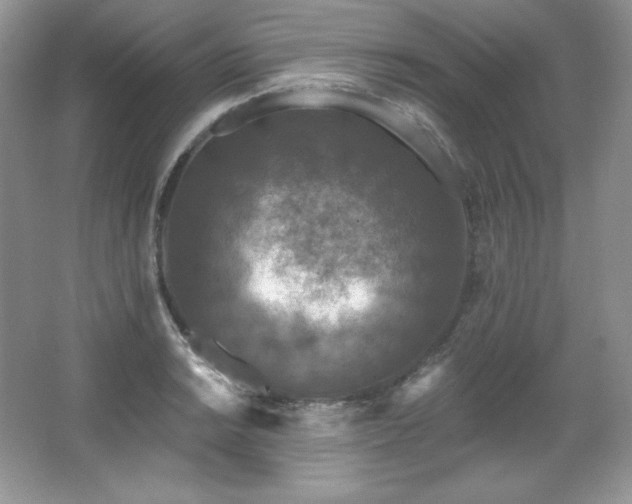 X0000067941038200604131443