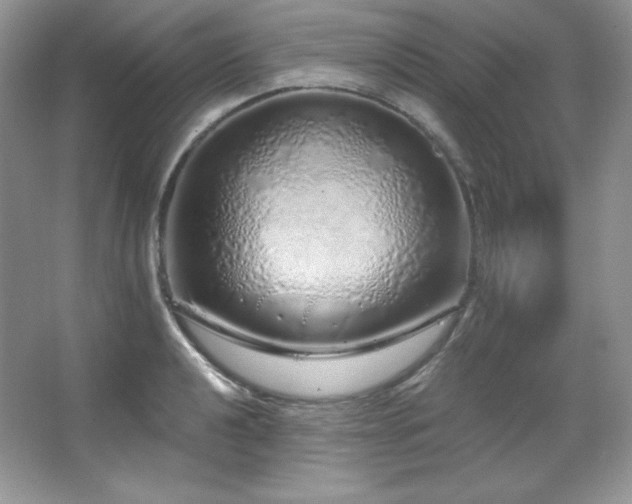 X0000067941040200604131443