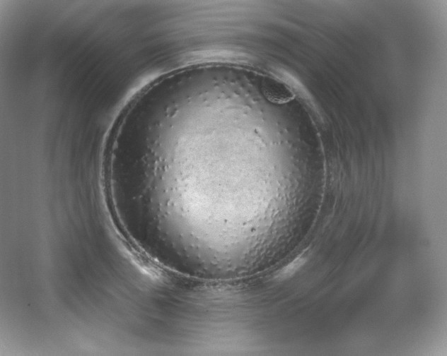 X0000067941043200604131444