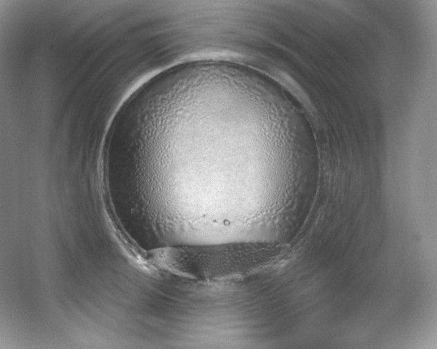 X0000067941044200604131444
