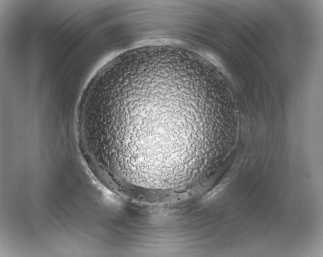 X0000067941046200604131444
