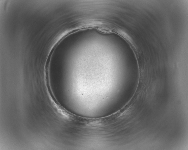 X0000067941047200604131444