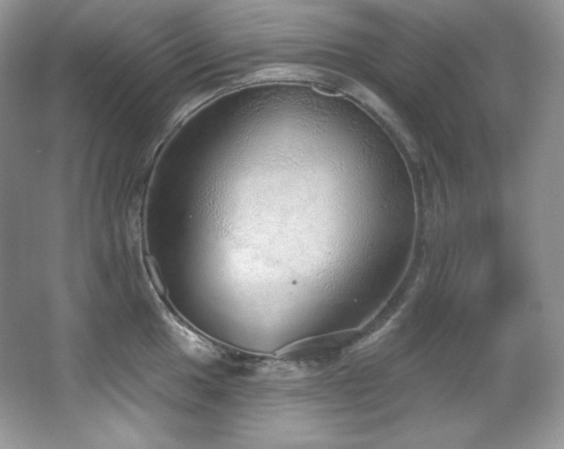 X0000067941049200604131444