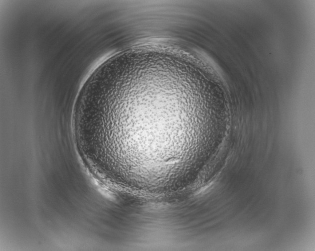 X0000067941050200604131444
