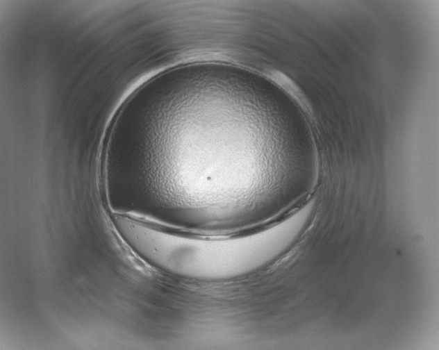 X0000067941052200604131444