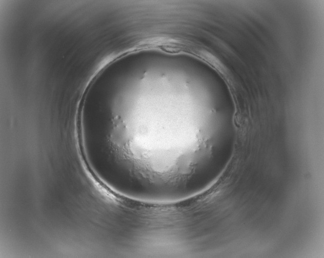 X0000067941055200604131444