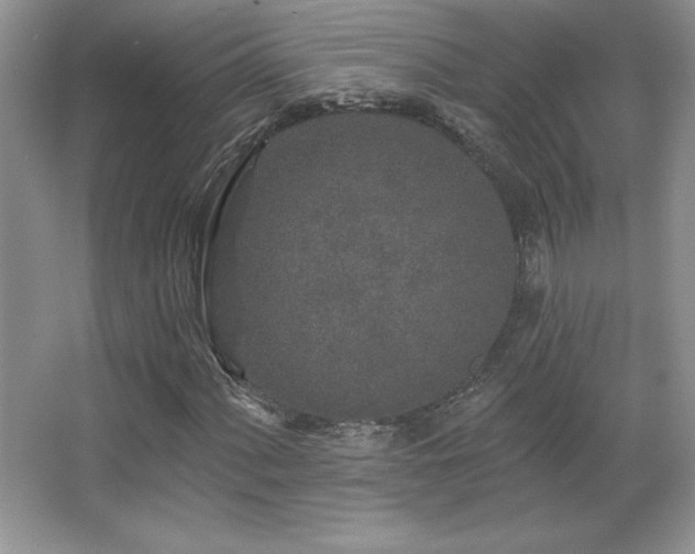 X0000067941060200604131443