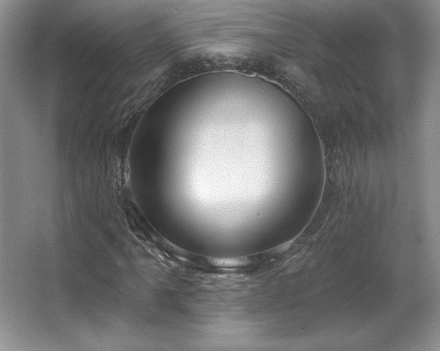 X0000067941061200604131443