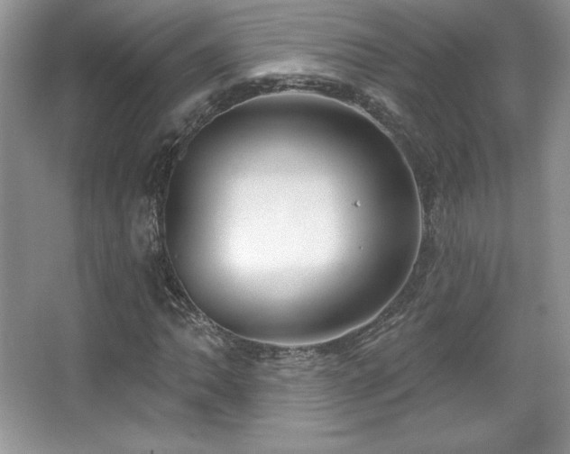 X0000067941062200604131443