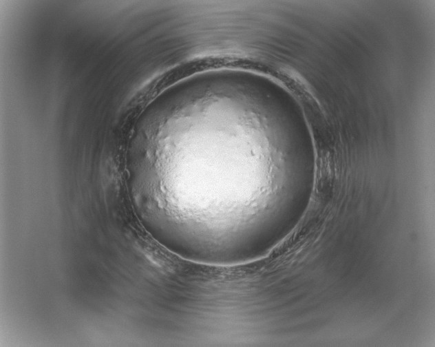 X0000067941064200604131443