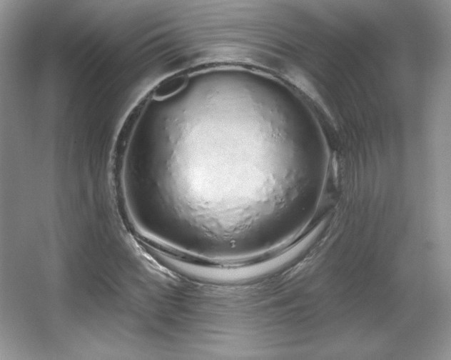 X0000067941068200604131443