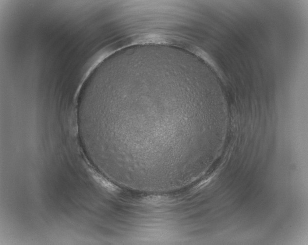 X0000067941075200604131443