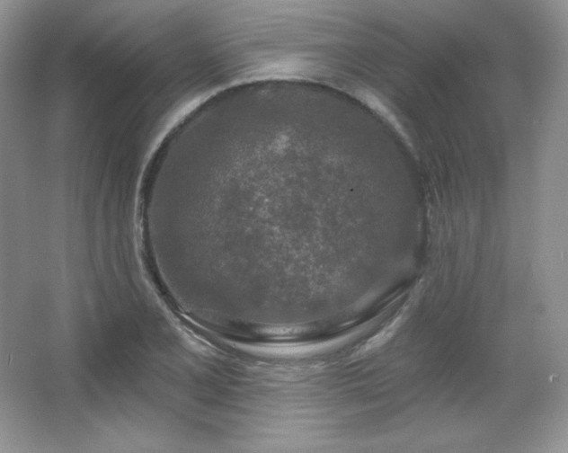 X0000067941077200604131443