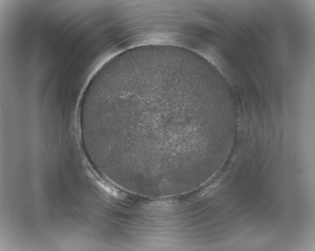 X0000067941078200604131443