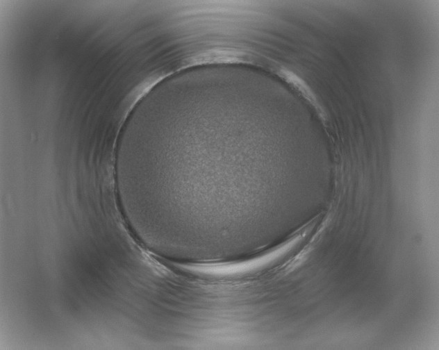 X0000067941081200604131443
