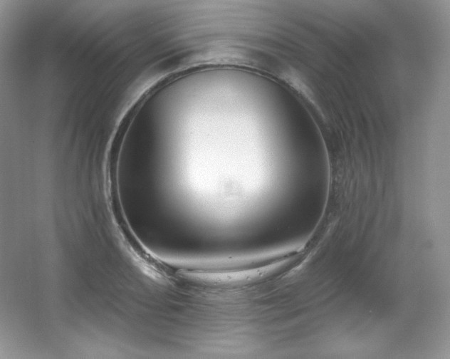 X0000067941082200604131443