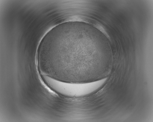 X0000067941084200604131442