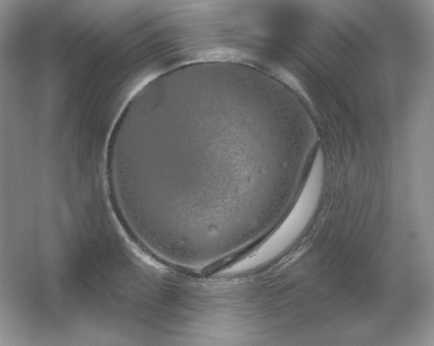 X0000067941087200604131442