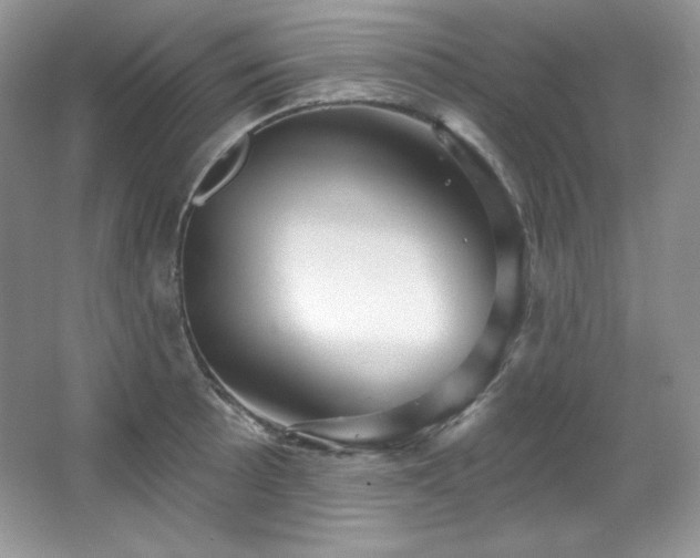 X0000067941089200604131442