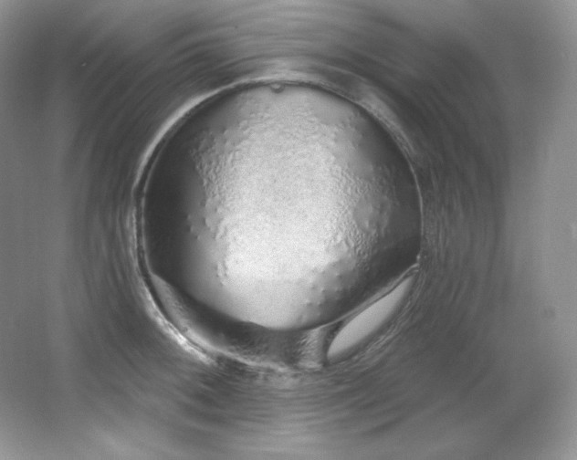 X0000067941092200604131442