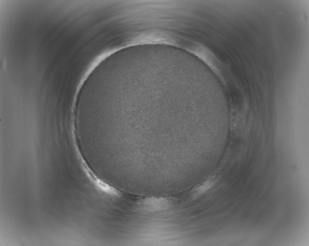 X0000067941094200604131442