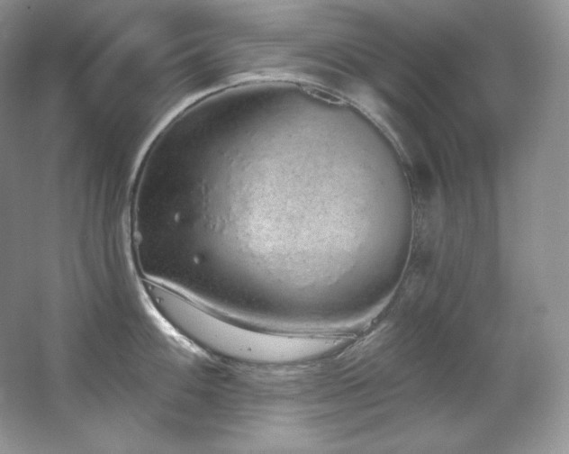 X0000067941100200604131442