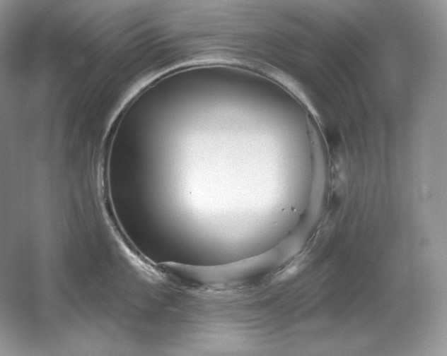 X0000067941101200604131442