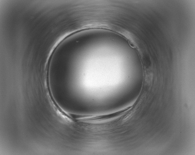 X0000067941102200604131442