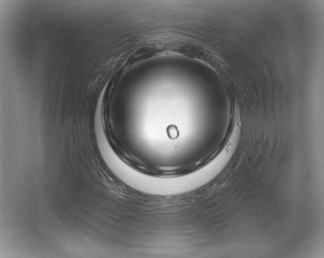 X0000067941108200604131441