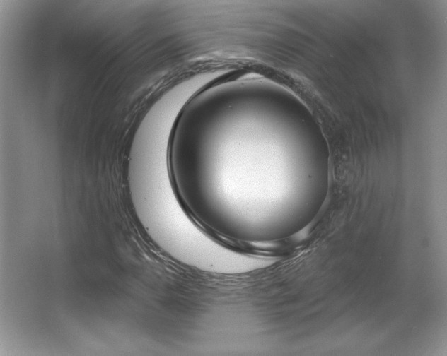 X0000067941110200604131441