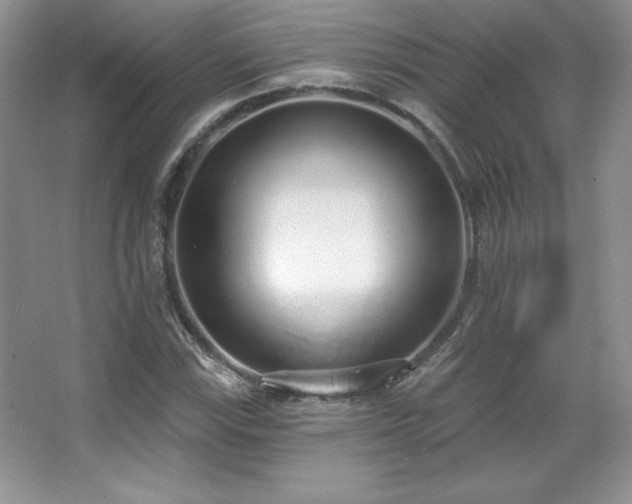 X0000067941115200604131442
