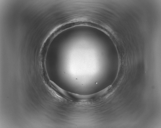 X0000067941118200604131442