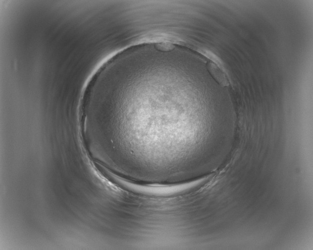 X0000067941120200604131442