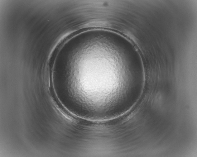 X0000067941123200604131442