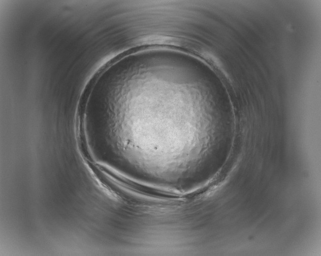 X0000067941125200604131442