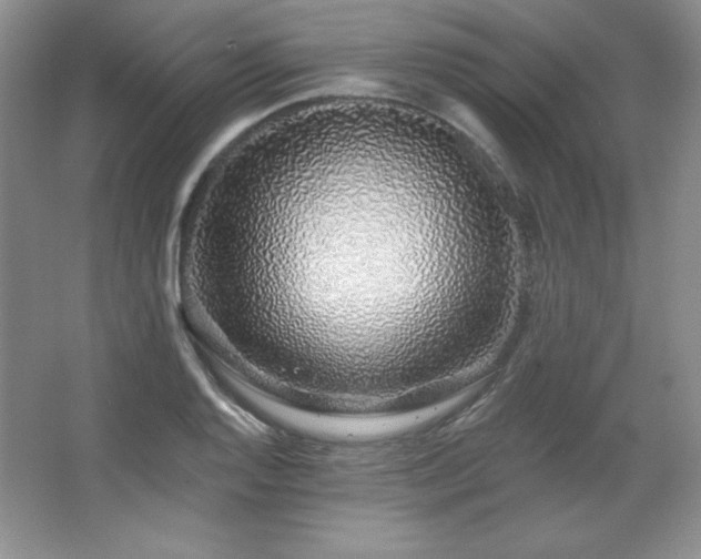 X0000067941128200604131442
